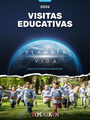 Términos y condiciones